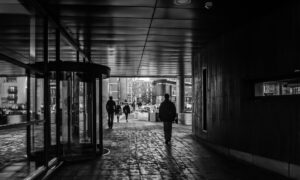 Lower Gilmore Bank, Edinburgh, 2019