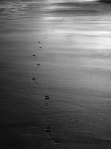 How a small edit changes a snapshot to fine art