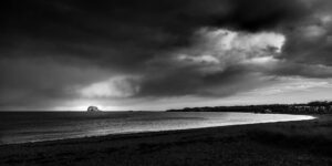 The Light in the Shadows